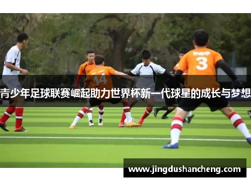 青少年足球联赛崛起助力世界杯新一代球星的成长与梦想