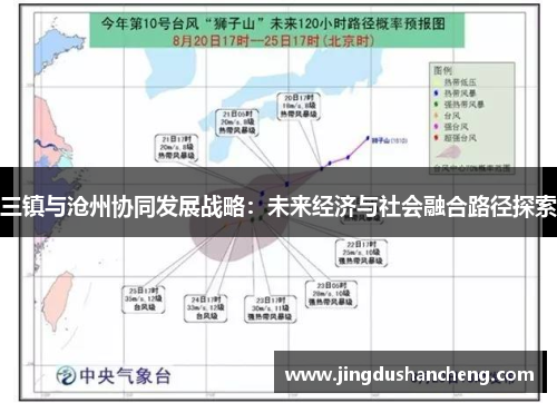 三镇与沧州协同发展战略：未来经济与社会融合路径探索