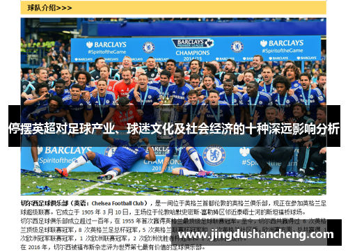 停摆英超对足球产业、球迷文化及社会经济的十种深远影响分析