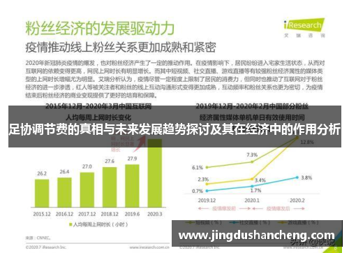 足协调节费的真相与未来发展趋势探讨及其在经济中的作用分析